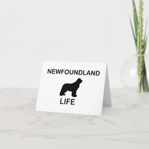 Tarjeta vida en newfoundland