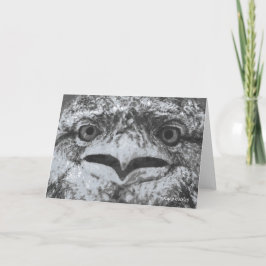Tarjeta Vida silvestre australiana, gruñón de la naturalez
