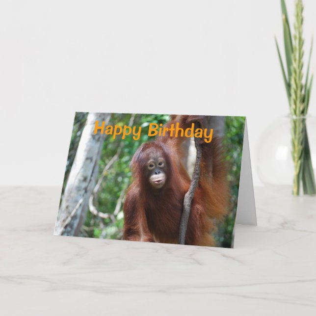Tarjeta Vida silvestre feliz cumpleaños (Anverso)