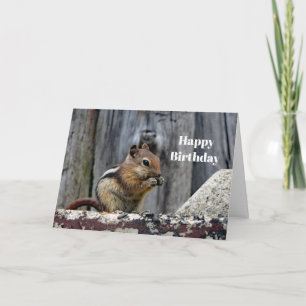 Tarjeta Vida silvestre Foto animal de Chipmunk Cumpleaños