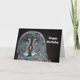 Tarjeta Vida silvestre Gran cumpleaños de búho gris