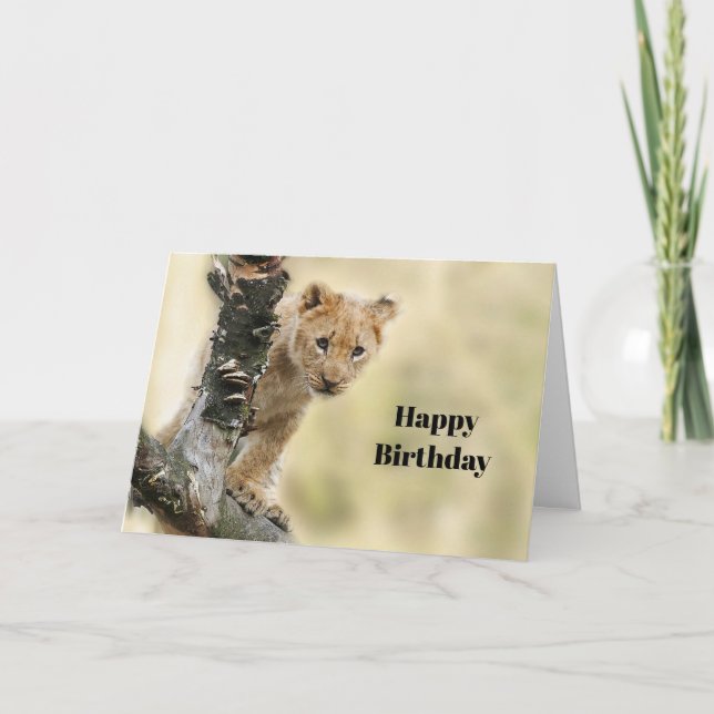 Tarjeta Vida silvestre Lion Cub Foto Cumpleaños (Anverso)