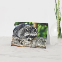 Tarjeta Vida silvestre Raccoon Log Mammal Photo Birday