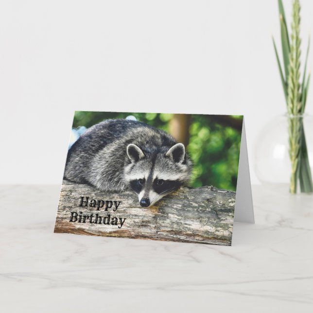 Tarjeta Vida silvestre Raccoon Log Mammal Photo Birday (Anverso)