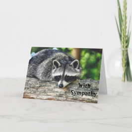 Tarjeta Vida silvestre Raccoon Log Mammal Photo Sympathy