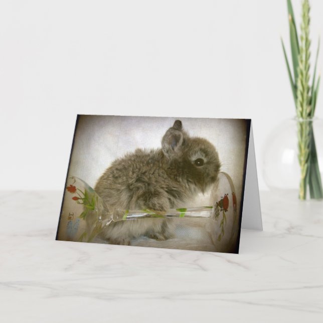 Tarjeta Vidrio de conejo (Anverso)