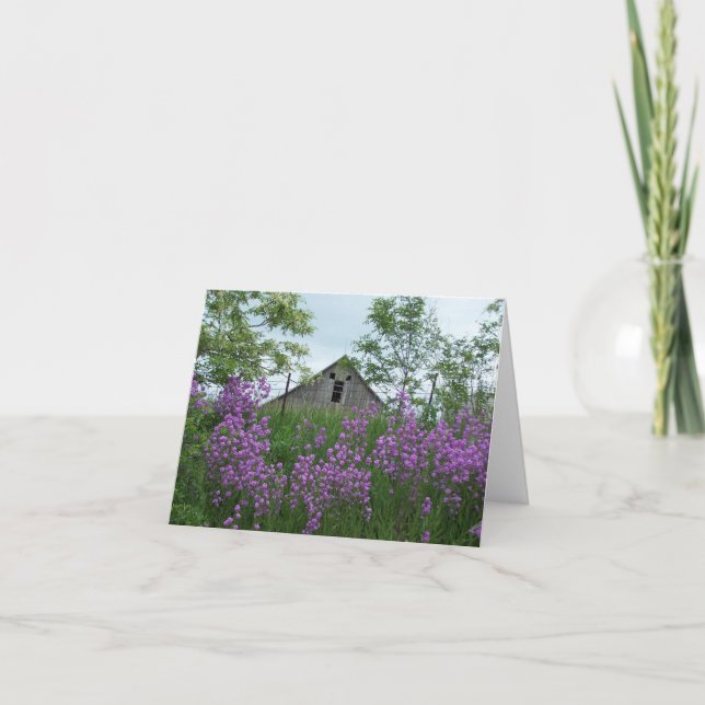 Tarjeta Viejo Bar Mirándome De Nuevo Por Phlox (Anverso)