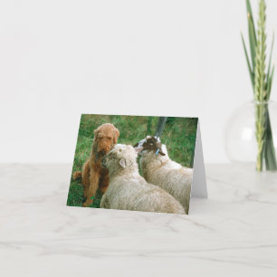 Tarjeta Viejos amigos