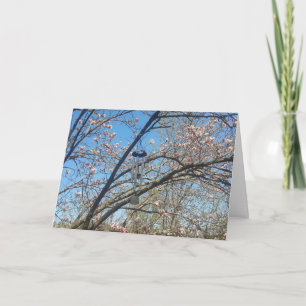 Tarjeta Viento y carta de cumpleaños de árbol de magnolia