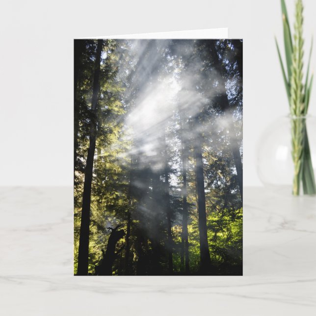 Tarjeta Vigas de sol (Anverso)