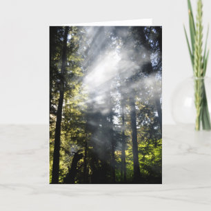 Tarjeta Vigas de sol