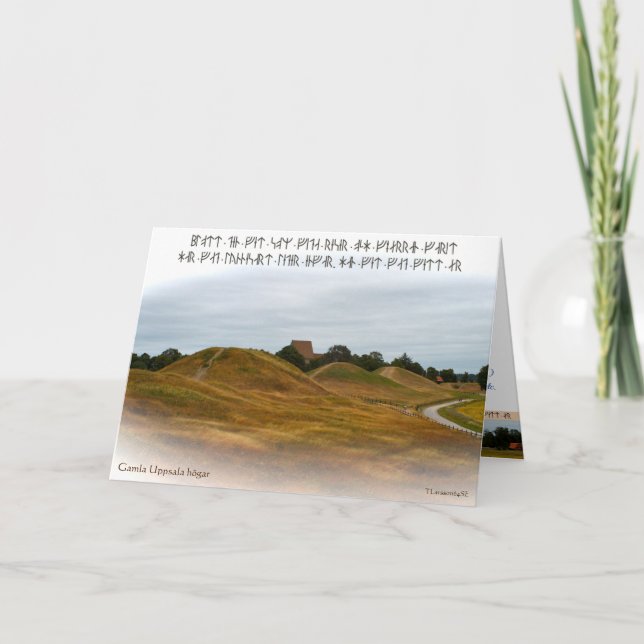 Tarjeta Vikta kort — Kungshögarna (Anverso)