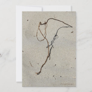 Tarjeta Vine/Standing Rock, Cannon Beach, Oregón