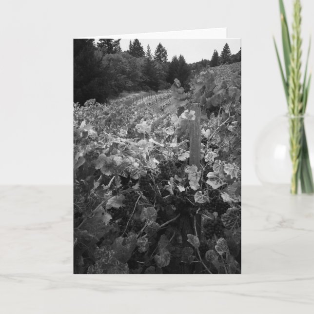 Tarjeta Viñedo y colinas, pañero Vineyard, 1966 (Anverso)