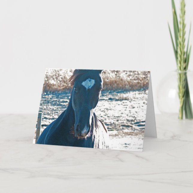 Tarjeta Vino a Ya (Anverso)