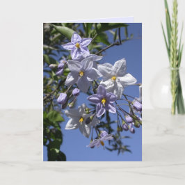 Tarjeta Vino de la papa