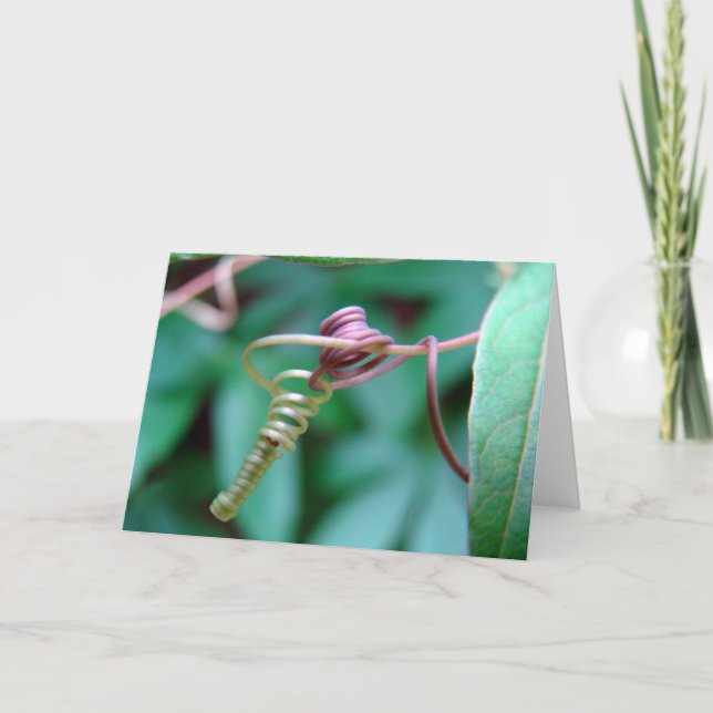 Tarjeta Vino de pasión (Anverso)