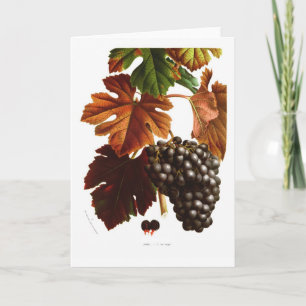 Tarjeta Vino de uva