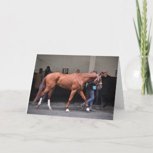 Tarjeta Vino Rosso - Todd Pletcher