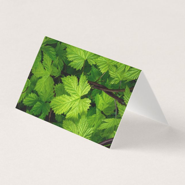 Tarjeta Vinos verdes (Anverso)