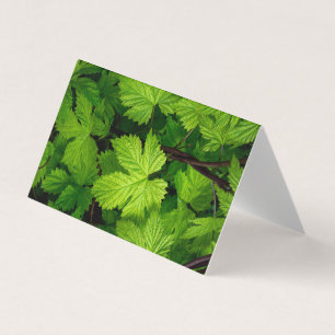 Tarjeta Vinos verdes