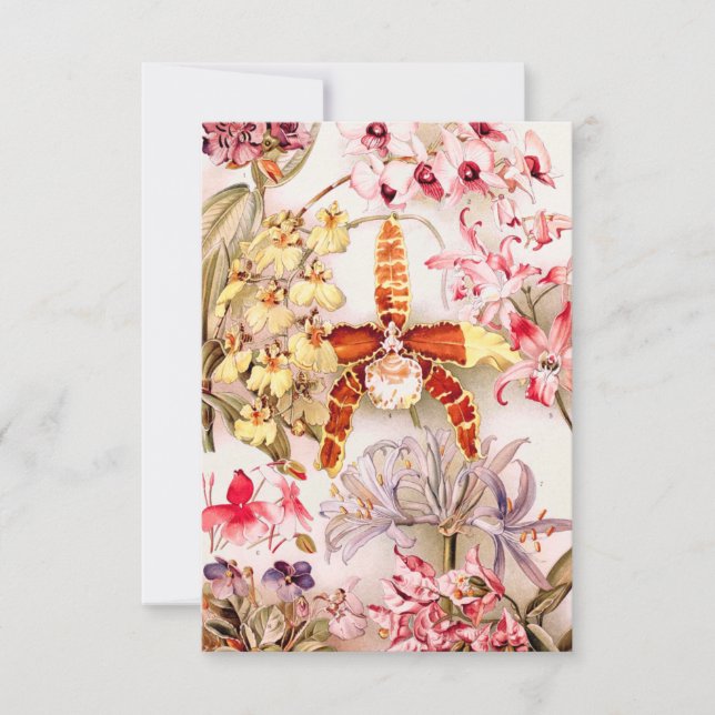 Tarjeta Vintage 1911 Orquídea Flor Rosa Ilustracion antigu (Anverso)