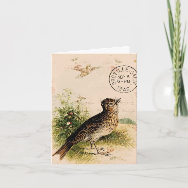 Tarjeta Vintage Bird, Cumpleaños (Anverso)