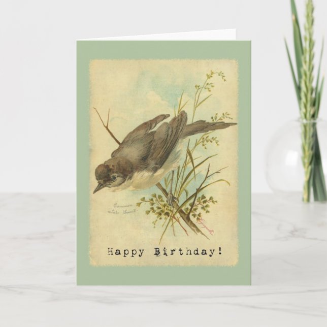 Tarjeta Vintage Bird, Cumpleaños (Anverso)