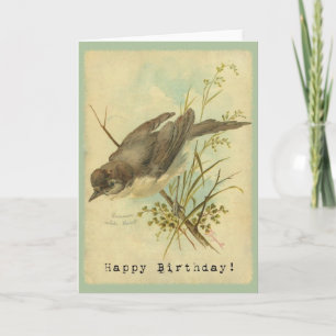 Tarjeta Vintage Bird, Cumpleaños