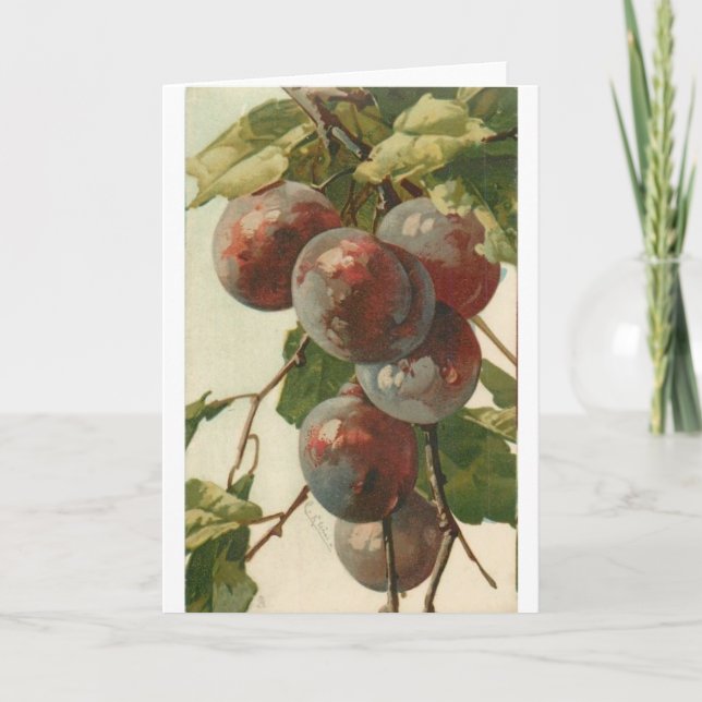 Tarjeta Vintage - Ciruelas en el árbol, (Anverso)