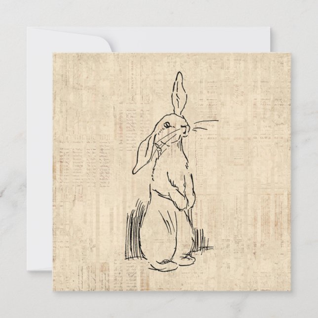 Tarjeta Vintage Cute Bunny Rabbit Art Script Background (Anverso)