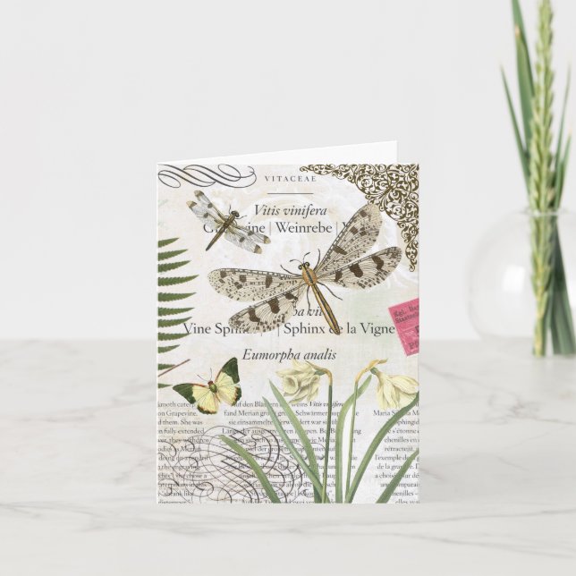 Tarjeta Vintage Dragonflies notecard (Anverso)