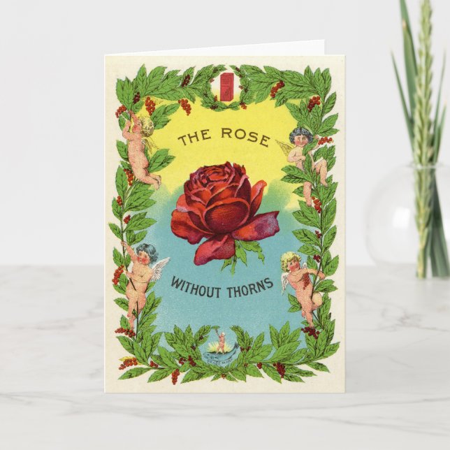 Tarjeta Vintage El Rosa Sin Lanzar A Cherubs (Anverso)