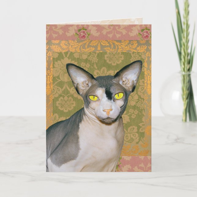 Tarjeta Vintage Floral Damask Sphynx Cat Cumpleaños (Anverso)