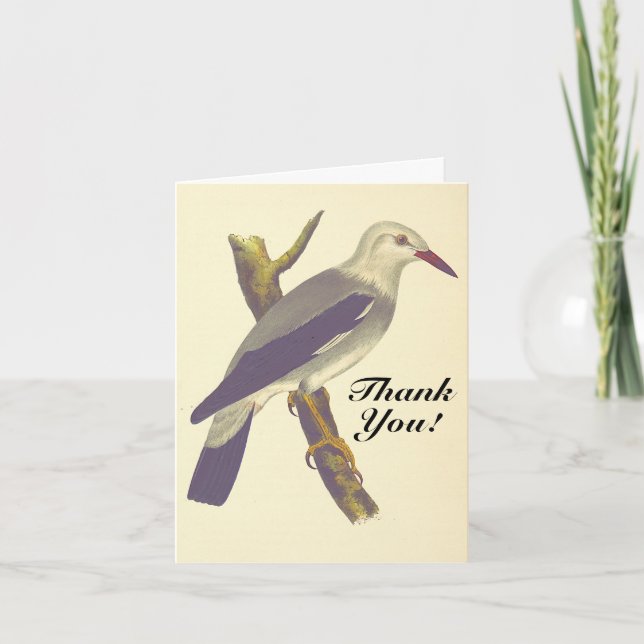 Tarjeta Vintage Look Bird en una rama, "¡Gracias!" (Anverso)