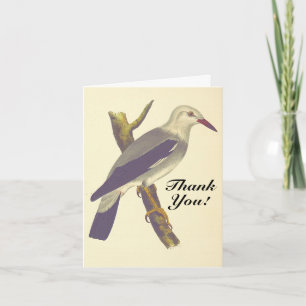 Tarjeta Vintage Look Bird en una rama, "¡Gracias!"