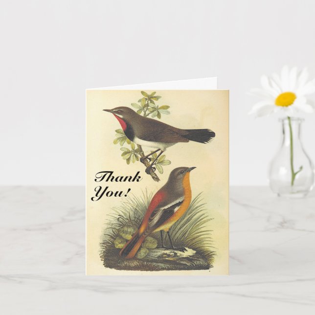 Tarjeta Vintage Look Birds, "¡Gracias!" (Planta pequeña)
