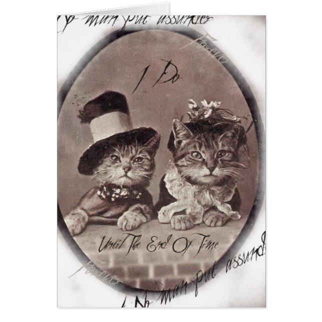 Tarjeta Vintage Love Cats (Frente)