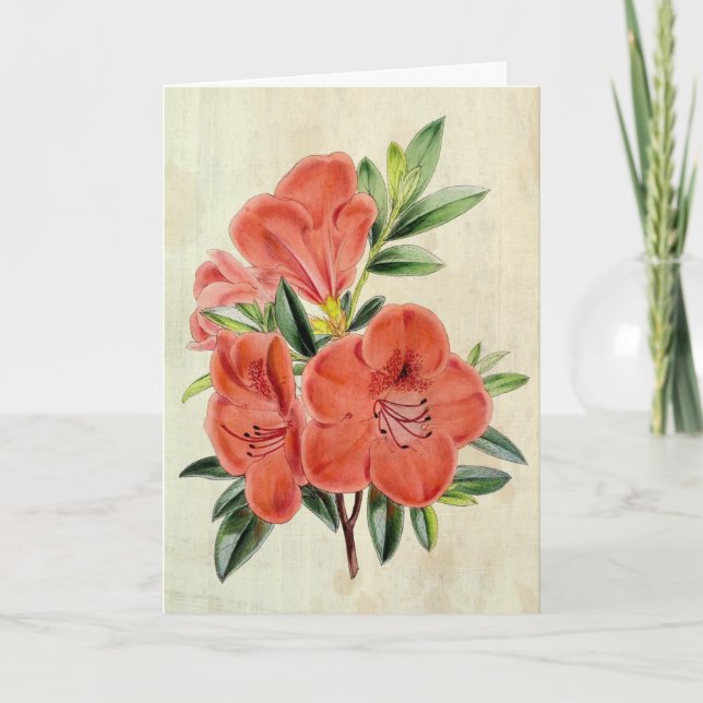 Tarjeta Vintage Presidente Botánico Azalea (Anverso)