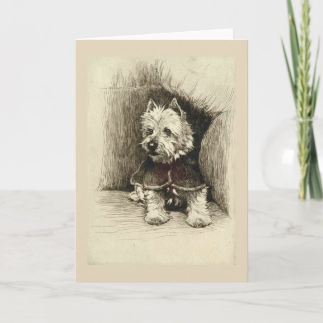 Tarjeta Vintage - retrato de un Westie, (Anverso)