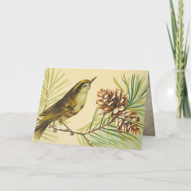 Tarjeta Vintage Wren Birday Card (Anverso)