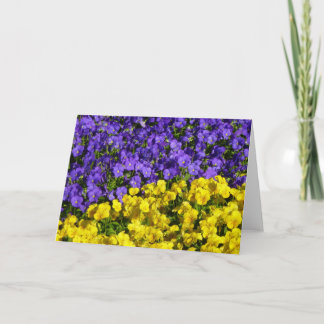 Tarjeta Violas moradas y amarillas coloridas florales