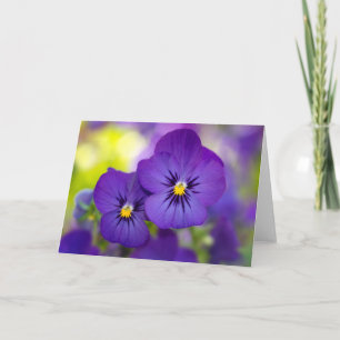 Tarjeta Violas púrpuras