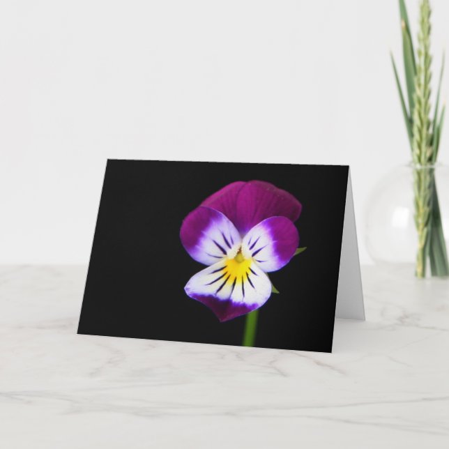 Tarjeta Violet Flower Gcm (Anverso)