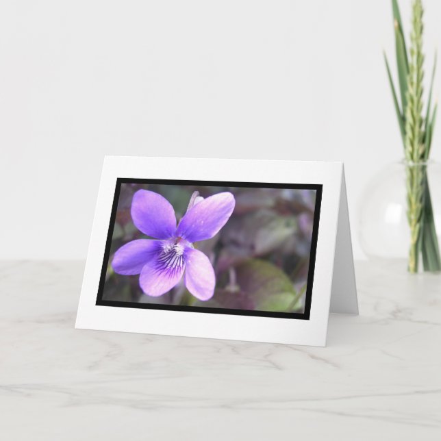 Tarjeta Violeta (Anverso)