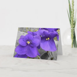 Tarjeta Violetas