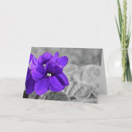 Tarjeta Violetas