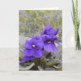 Tarjeta Violetas
