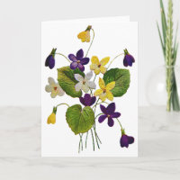 Violetas bordadas blancas, amarillas y púrpuras