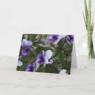 Tarjeta Violets